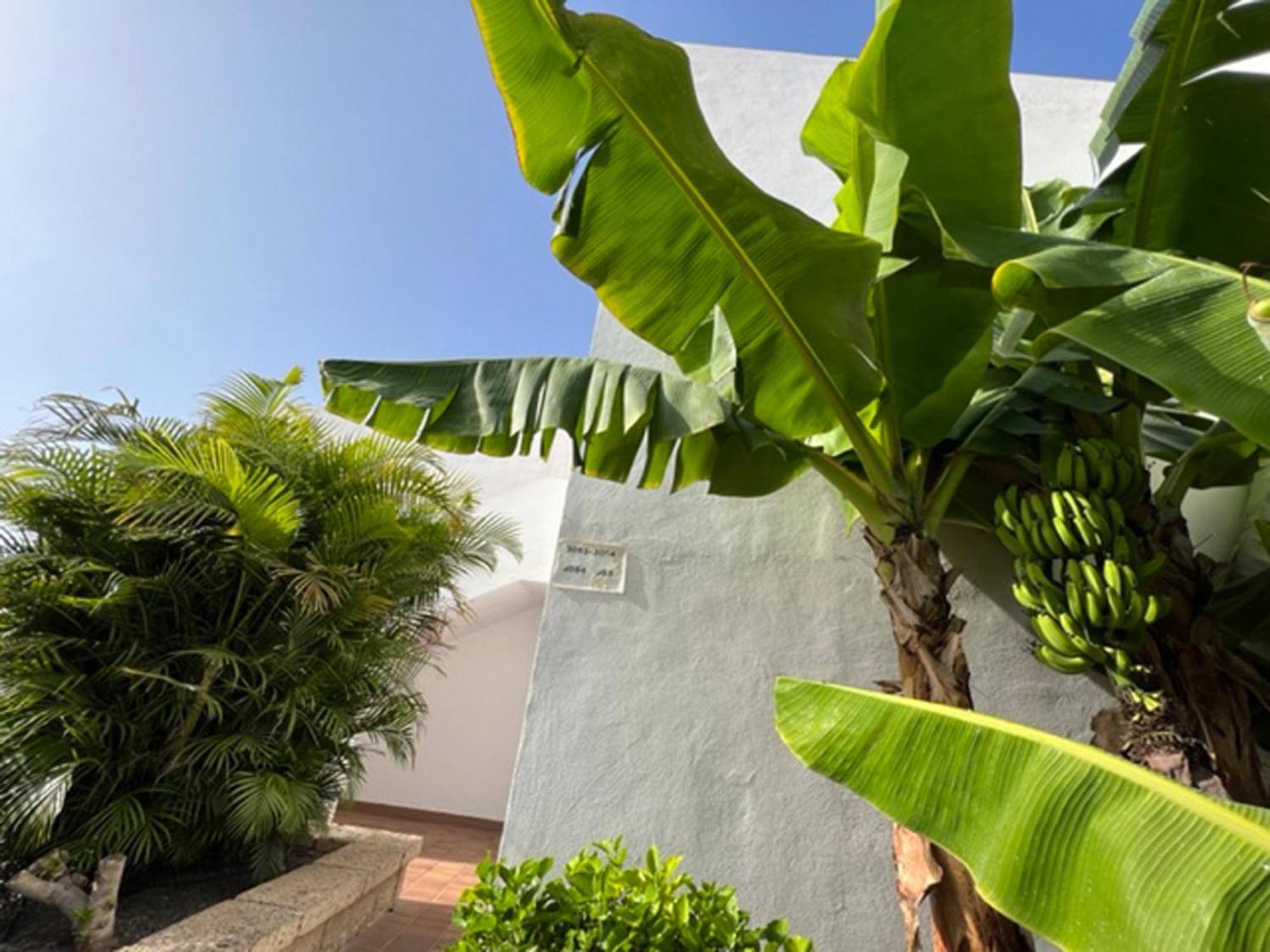 Apartament Malibu Blue Costa Adeje  Buitenkant foto